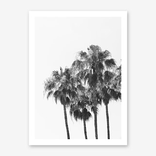 Palm Trees Art Print 1