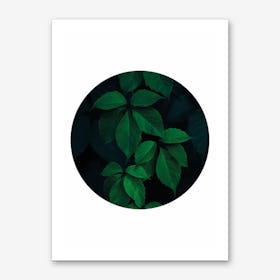 Dark Green Plant Circle Art Print