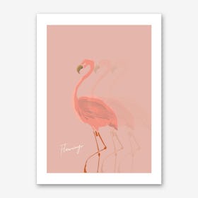 Flamingo Shadow Art Print