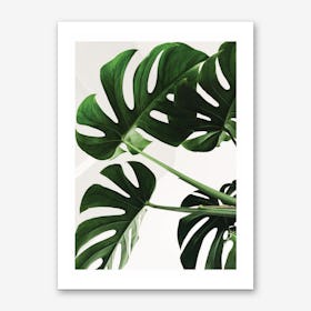 Full Green Plant Art Print