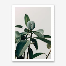 Green Leaves with Grey Background Art Print