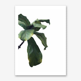 Green Plant Head Art Print