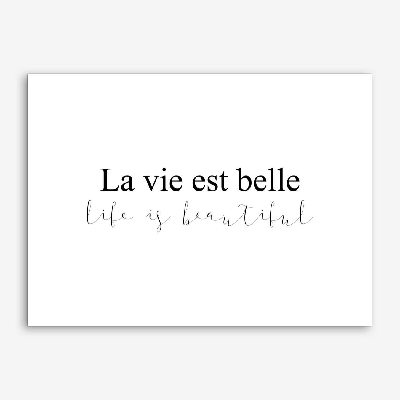 la vie a belle meaning