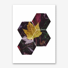 Leaf and Grass Hexagon Abstract Art Print