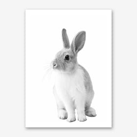 Monochrome Bunny Art Print