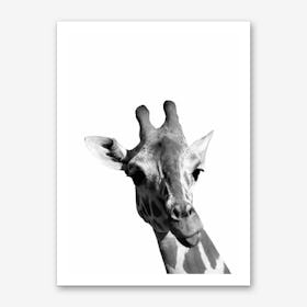 Monochrome Giraffe Art Print