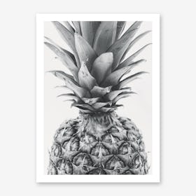 Realistic Pineapple Art Print