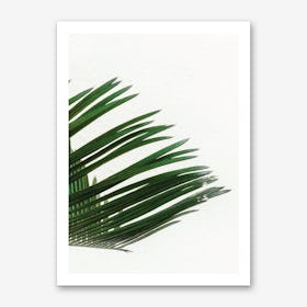 Plant Range III Art Print