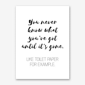 You Never Know What You've Got Like Toilet Paper Art Print