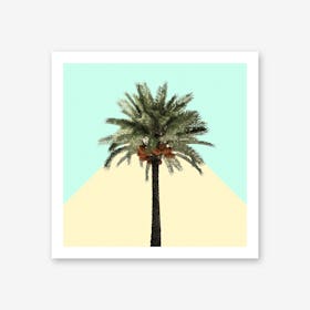Palm Tree on Cyan and Lemon Wall Art Print