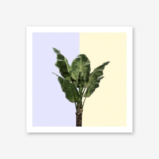 Banana Plant on Yellow and Blue Wall Art Print