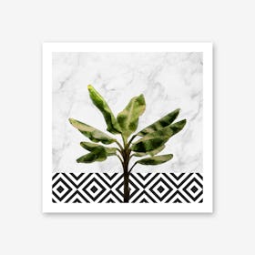 Banana Plant on White Marble and Checker Wall Art Print