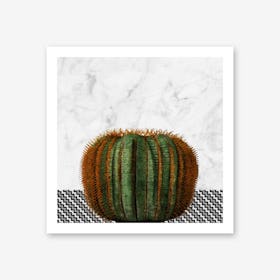 Cactus Ball on White Marble and Zigzag Wall Art Print