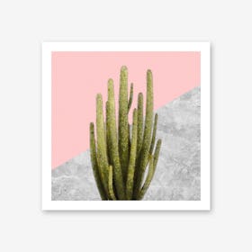 Cactus on Pink and Grey Marble Wall Art Print