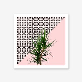 Dracaena Plant on Pink and Lattice Pattern Wall Art Print