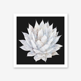 Agave White Marble Art Print