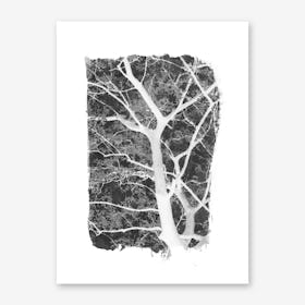 Tree Foliage on Black Art Print