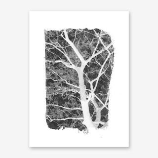 Tree Foliage on Black Art Print