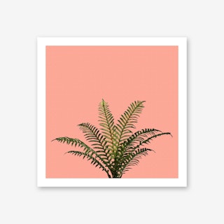 Palm Plant on Pastel Coral Wall Art Print