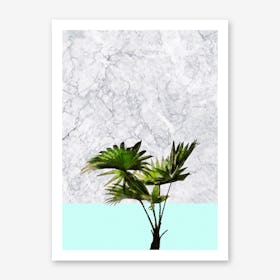 Palm Plant on Marble and Pastel Blue Wall Art Print