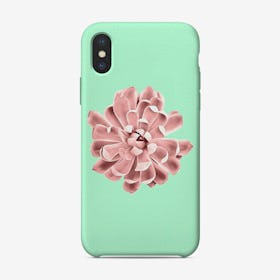Pink Succulent Plant on Cyan iPhone Case