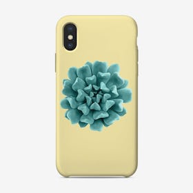 Cyan Succulent Plant on Yellow iPhone Case