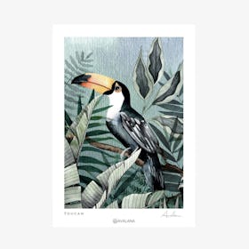 Toucan Art Print