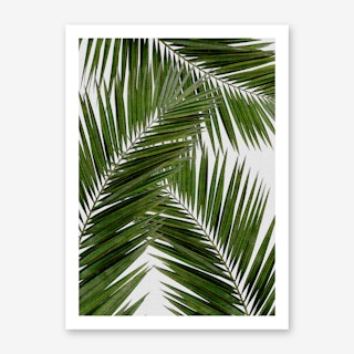 Palm Leaf III Art Print