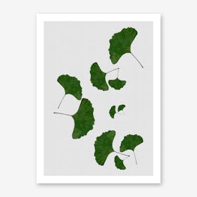 Ginkgo Leaf I Art Print