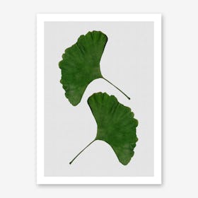 Ginkgo Leaf II Art Print