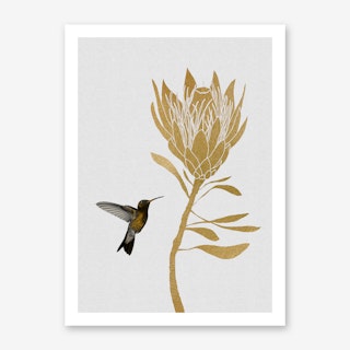 Hummingbird & Flower I Art Print