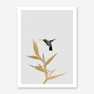 Hummingbird & Flower II Art Print