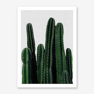 Cactus I Art Print