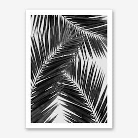 Palm Leaf Black & White III Art Print