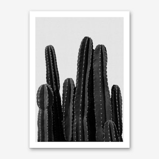 Cactus Black & White Art Print