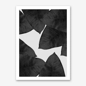 Banana Leaf Black & White I Art Print