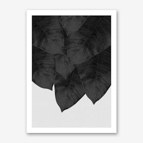 Banana Leaf Black & White II Art Print