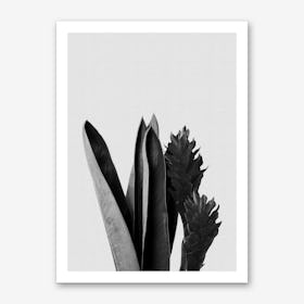Flower Black & White Art Print