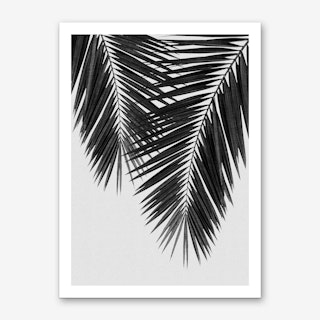 Palm Leaf Black & White II Art Print