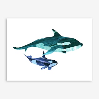 A Swim Together Art Print
