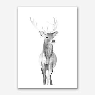 B&W Deer Art Print