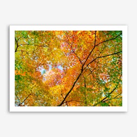 Autumn1 Art Print