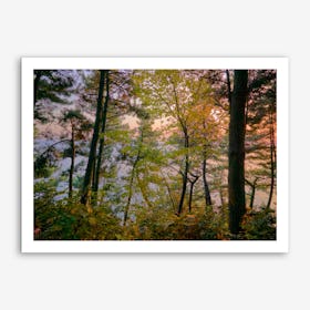 Tree1 Art Print