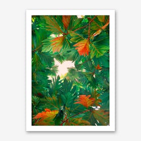 Leaves1 Art Print