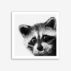 Raccoon Art Print