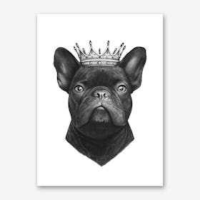 King French Bulldog Art Print