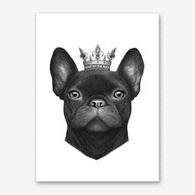 Queen French Bulldog Art Print