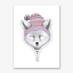 Fox In A Hood Art Print
