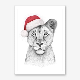Christmas Lioness Art Print
