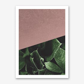 Botanic Rose Art Print